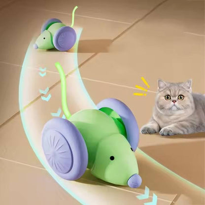 LED Lights Cat Mouse Toys