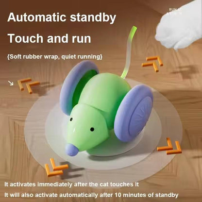 LED Lights Cat Mouse Toys