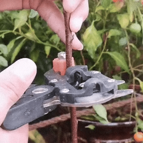GraftMaster Effortless Grafting Kit + Free Grafting Tape